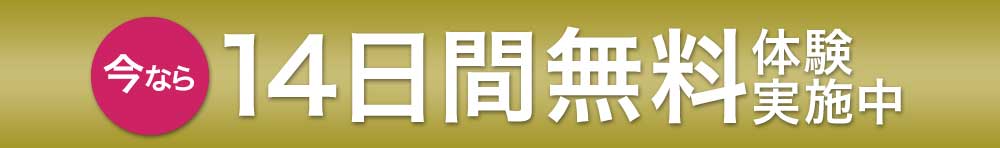 ｅＢａｙ輸出 無在庫販売の決定版14日間無料体験